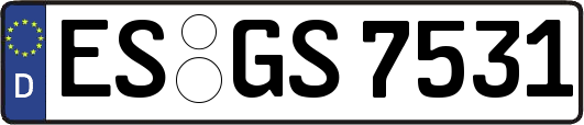 ES-GS7531