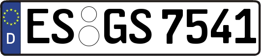ES-GS7541