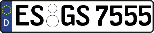 ES-GS7555