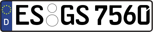 ES-GS7560