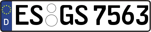 ES-GS7563