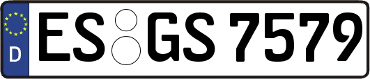 ES-GS7579