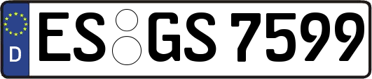 ES-GS7599