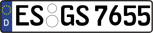 ES-GS7655