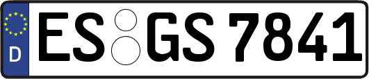 ES-GS7841