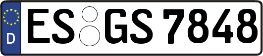 ES-GS7848