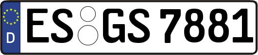 ES-GS7881