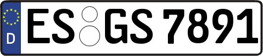 ES-GS7891