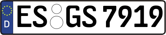 ES-GS7919