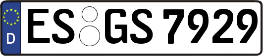 ES-GS7929