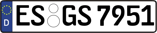 ES-GS7951