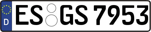 ES-GS7953