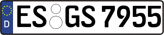 ES-GS7955