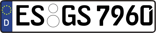 ES-GS7960