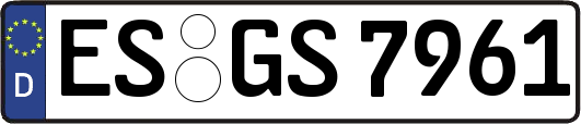 ES-GS7961