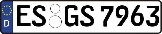 ES-GS7963