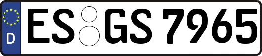 ES-GS7965
