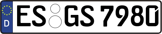 ES-GS7980