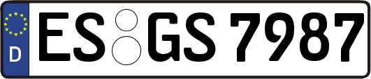 ES-GS7987