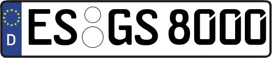 ES-GS8000