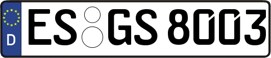 ES-GS8003