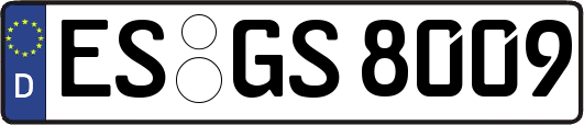 ES-GS8009