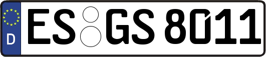 ES-GS8011