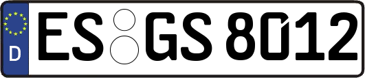 ES-GS8012