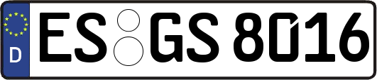 ES-GS8016