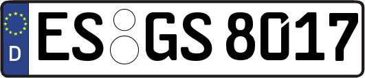 ES-GS8017