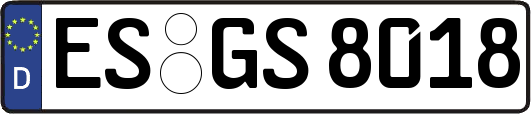 ES-GS8018