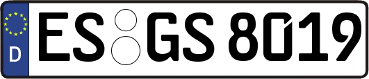 ES-GS8019
