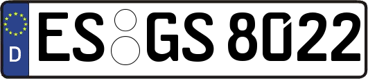 ES-GS8022