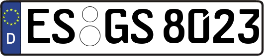 ES-GS8023