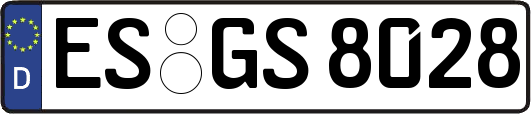 ES-GS8028