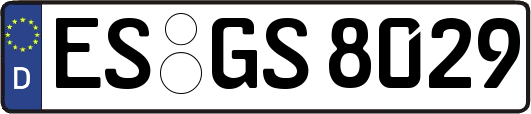 ES-GS8029