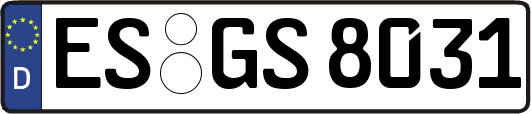 ES-GS8031