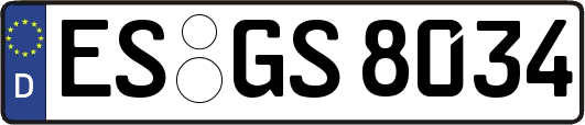 ES-GS8034