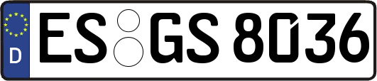 ES-GS8036