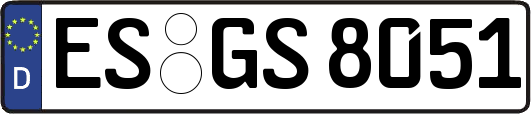 ES-GS8051