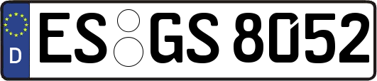 ES-GS8052
