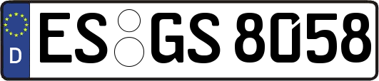 ES-GS8058