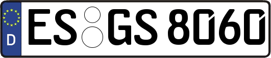 ES-GS8060