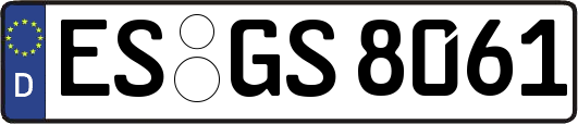ES-GS8061