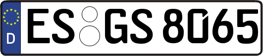 ES-GS8065