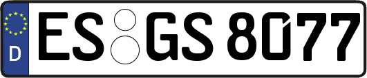 ES-GS8077