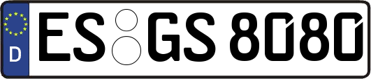 ES-GS8080