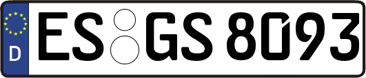 ES-GS8093