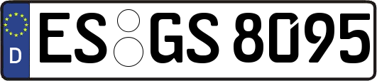 ES-GS8095