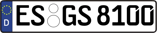 ES-GS8100